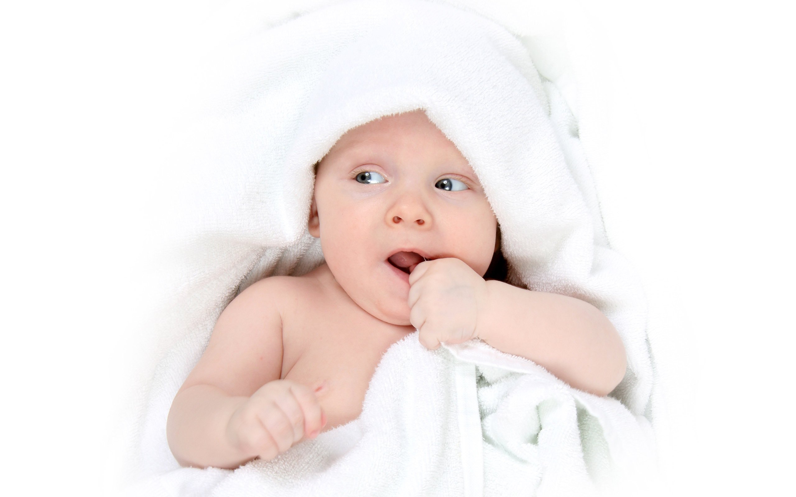 厦门第三方辅助生殖2015试管婴儿成功率